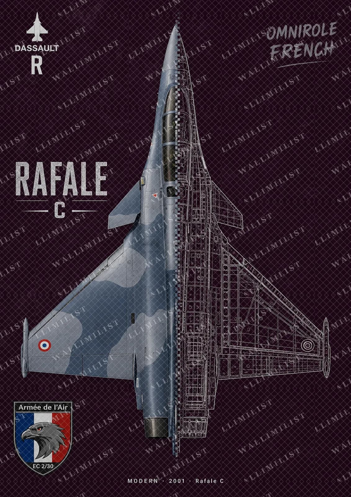 Actual watermarked print of Rafale C — Aircraft Cutaway