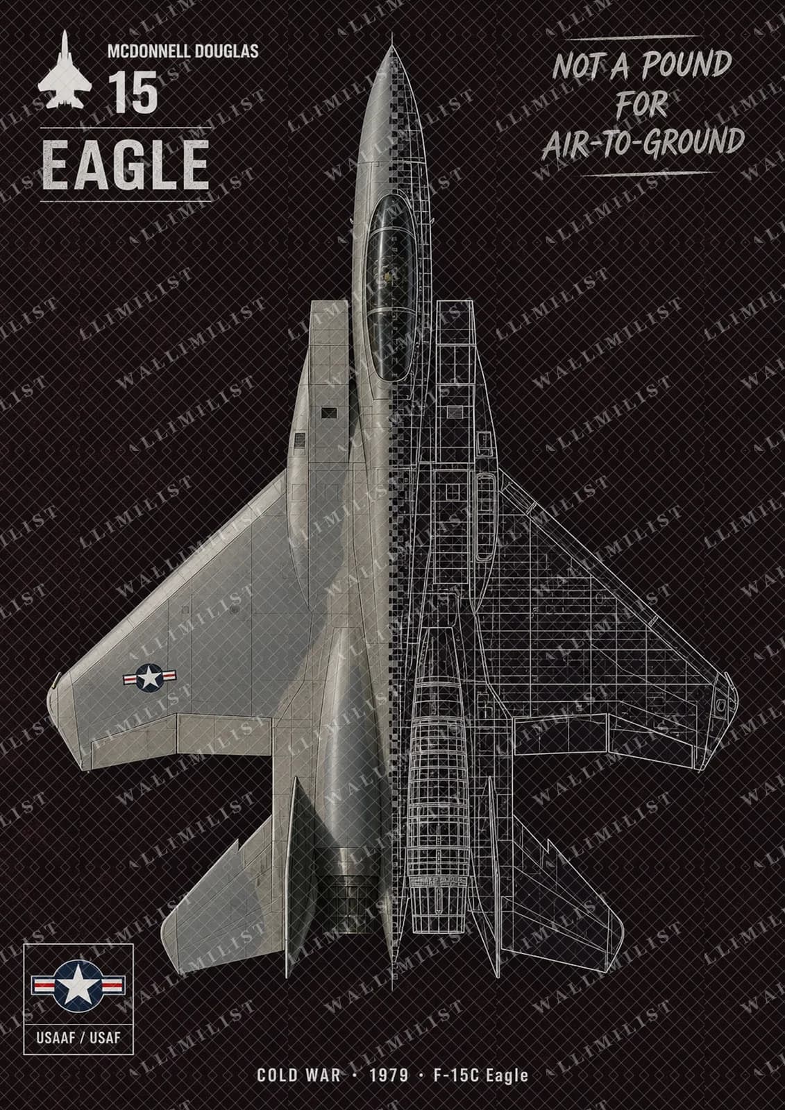 Actual watermarked print of F-15C Eagle — Aircraft Cutaway