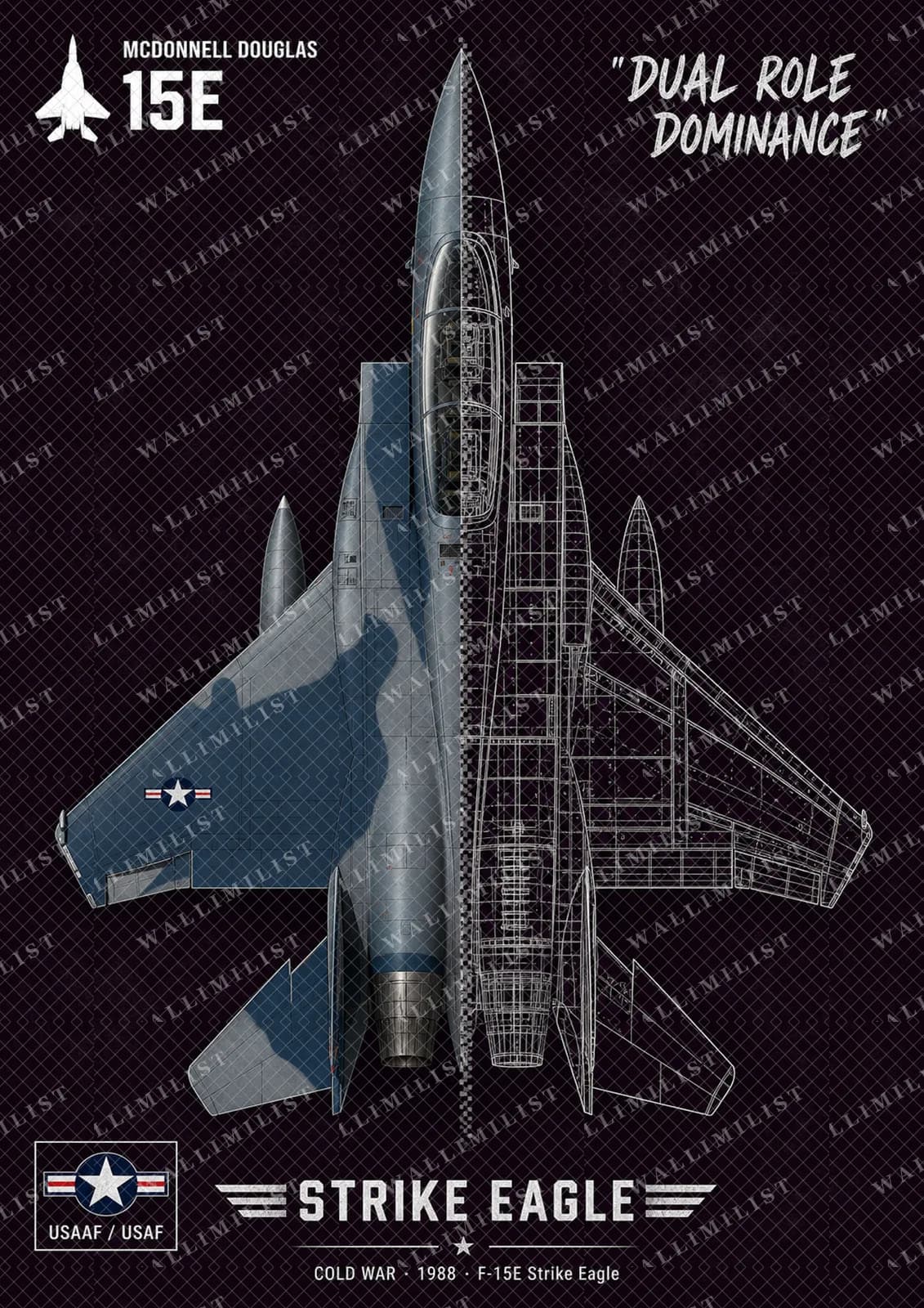 Actual watermarked print of F-15E Strike Eagle — Aircraft Cutaway
