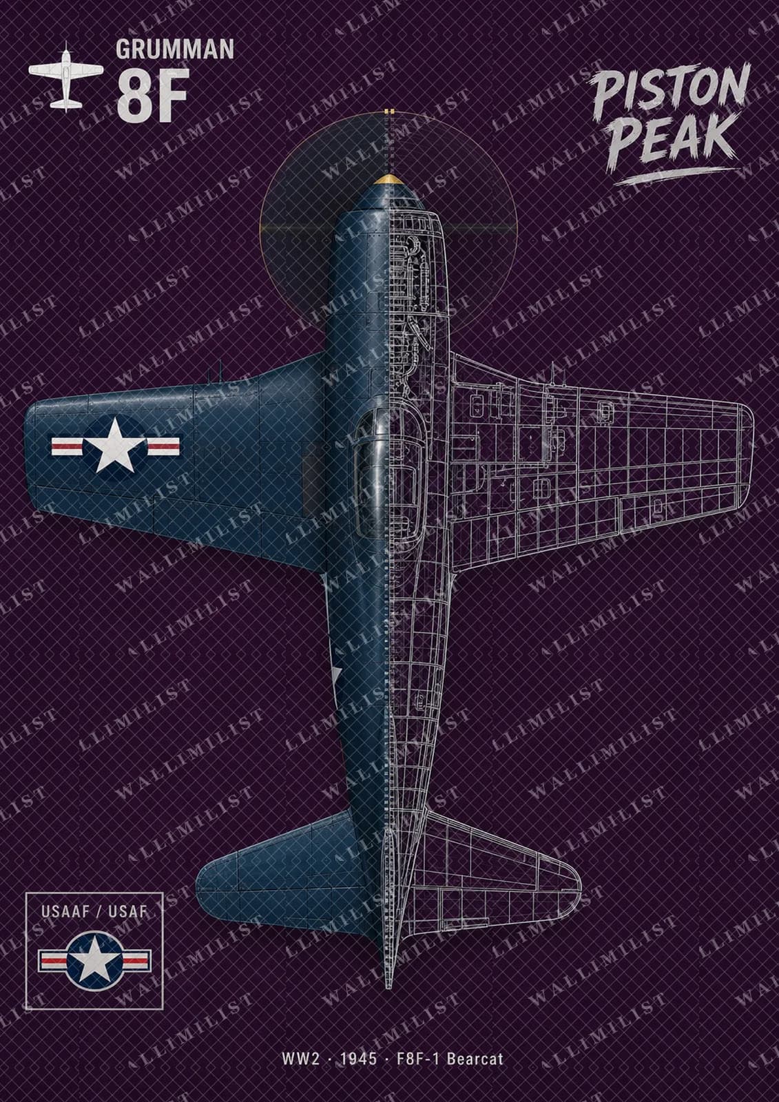 Actual watermarked print of F8F-1 Bearcat