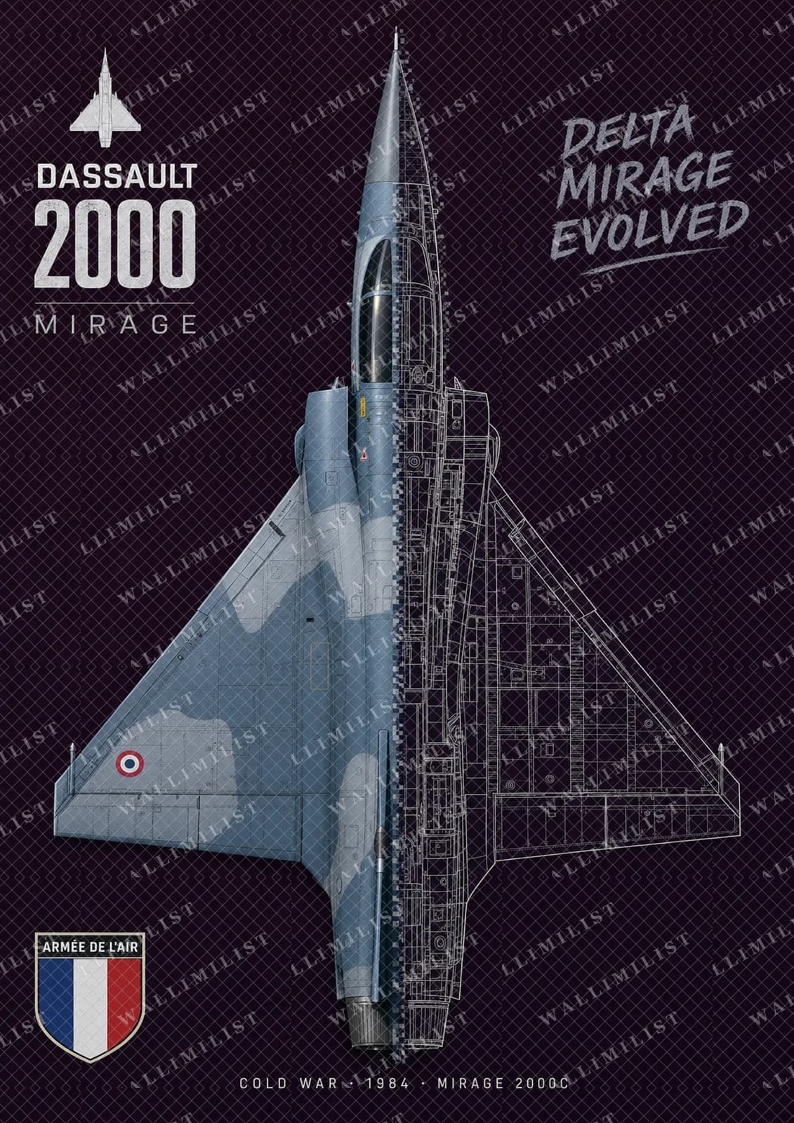 Actual watermarked print of Mirage 2000C — Aircraft Cutaway