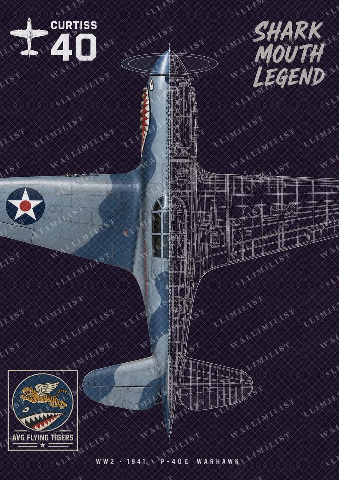 Actual watermarked print of P-40E Warhawk — Aircraft Cutaway