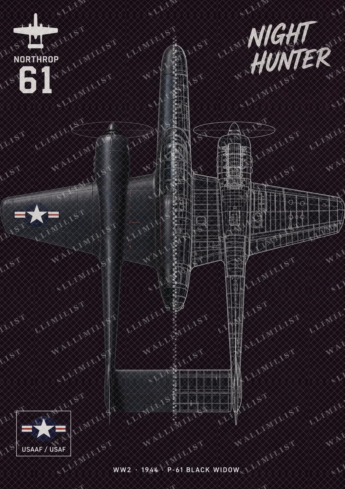 Actual watermarked print of P-61 Black Widow