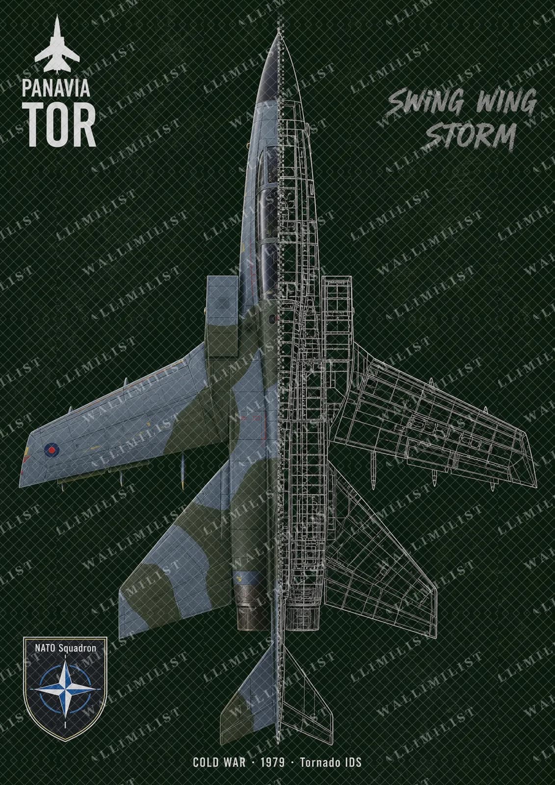 Actual watermarked print of Tornado IDS — Aircraft Cutaway