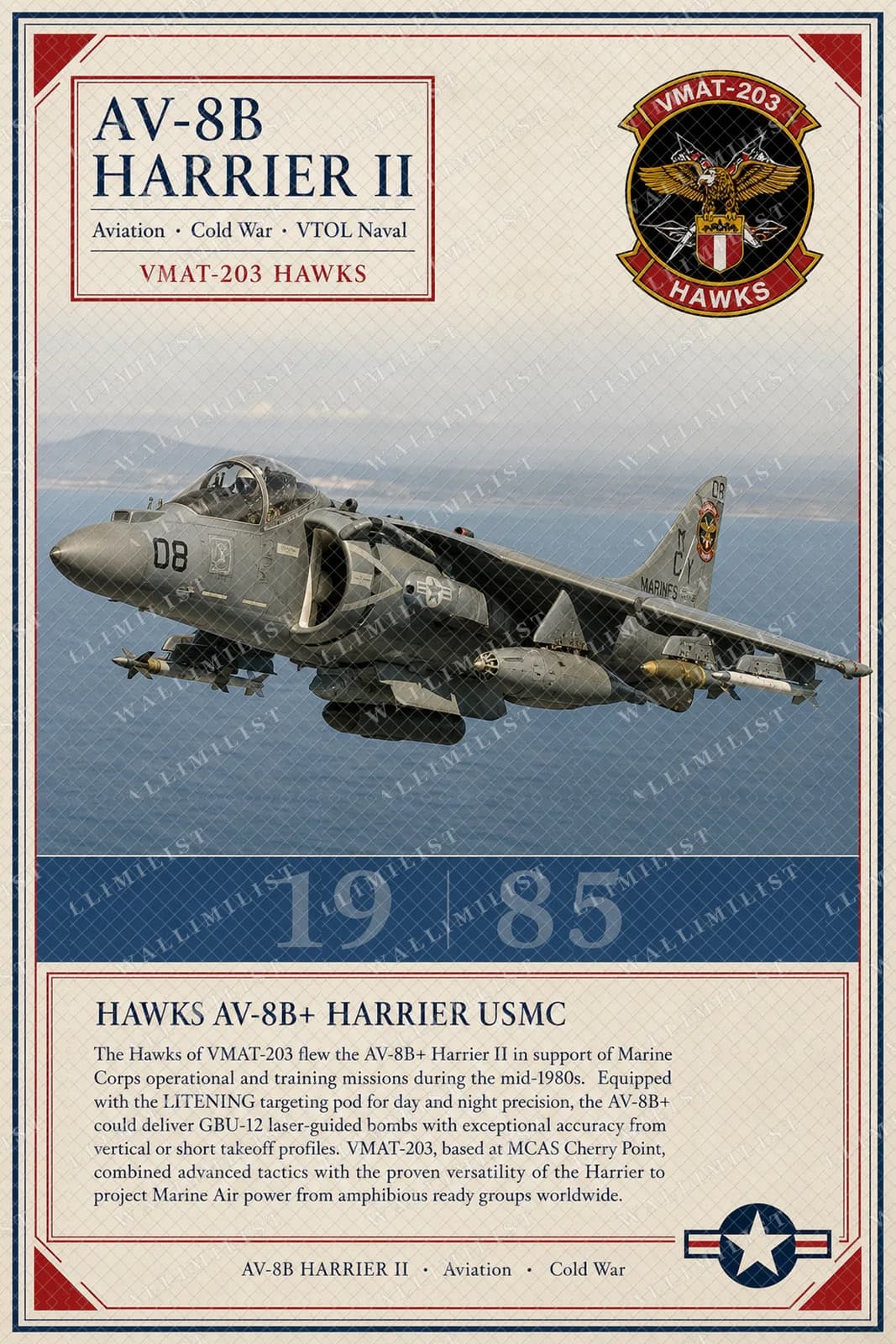 Actual watermarked print of AV-8B Harrier II
