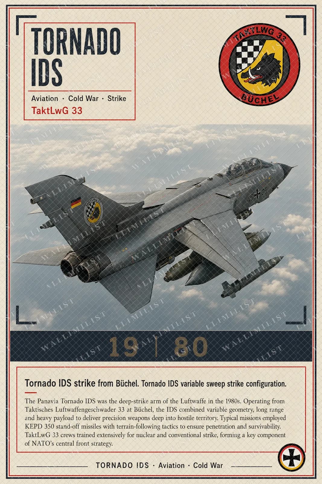Actual watermarked print of Tornado IDS